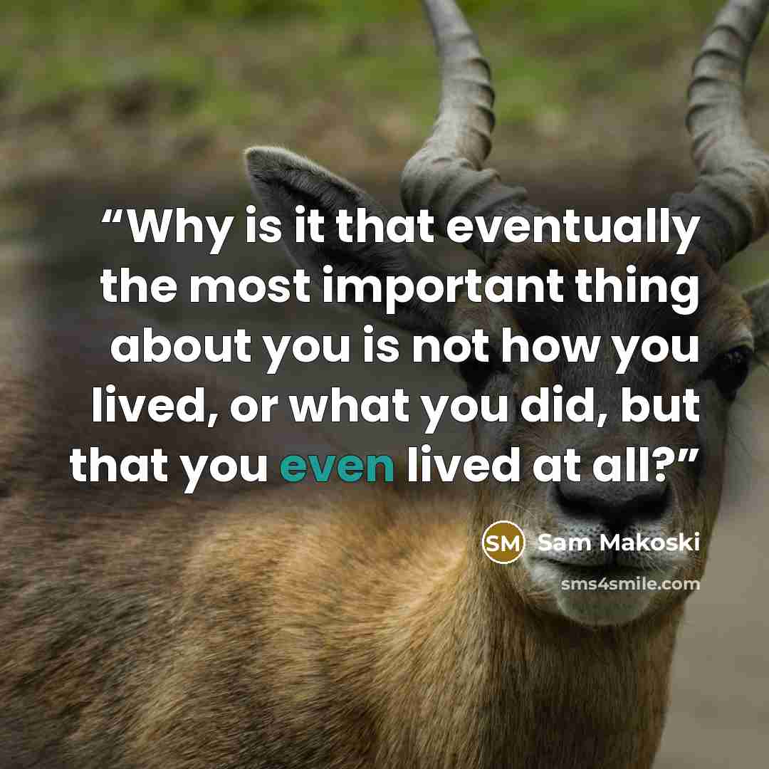 “Why is it that eventually the most important thing about you is not how you lived, or what you did, but that you even lived at all?” quote by Sam Makoski