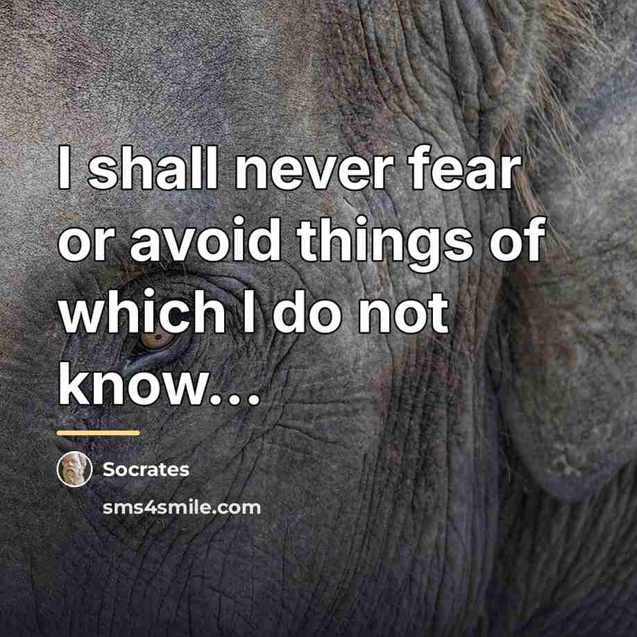 “I shall never fear or avoid things of which I…” quote by Socrates