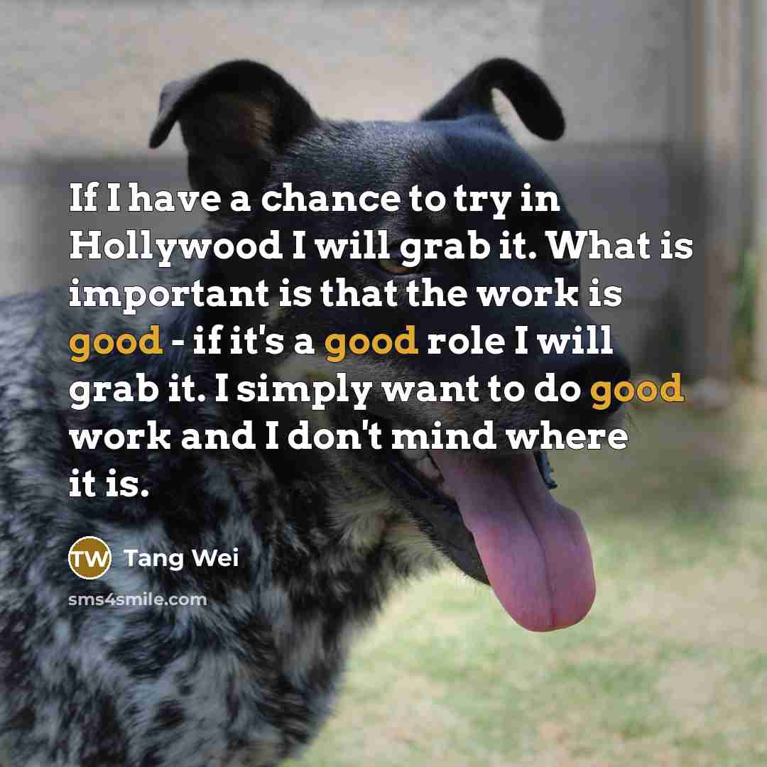 “If I have a chance to try in Hollywood I…” quote by Tang Wei