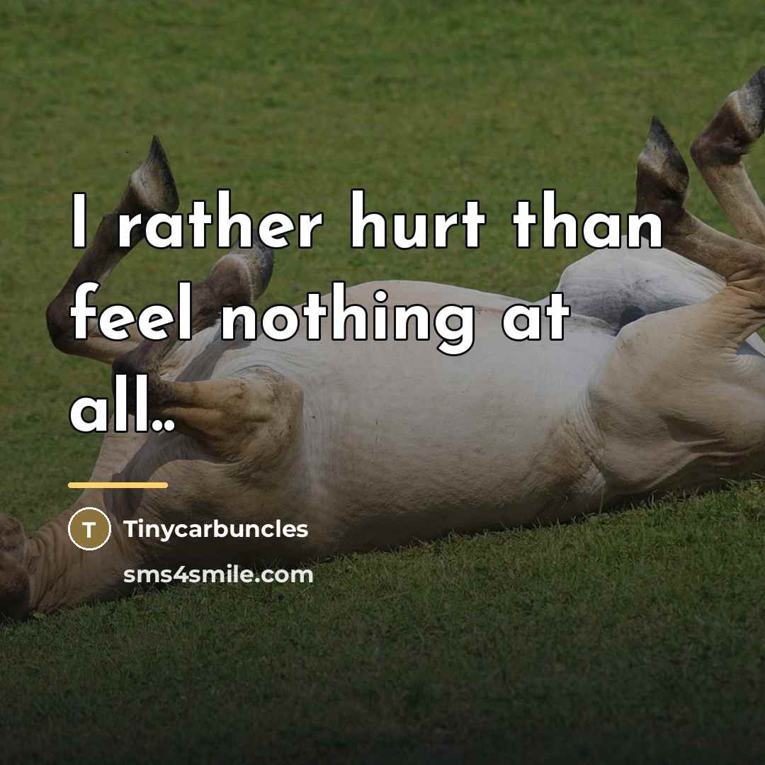 “I rather hurt than feel nothing at all..…” quote by Tinycarbuncles