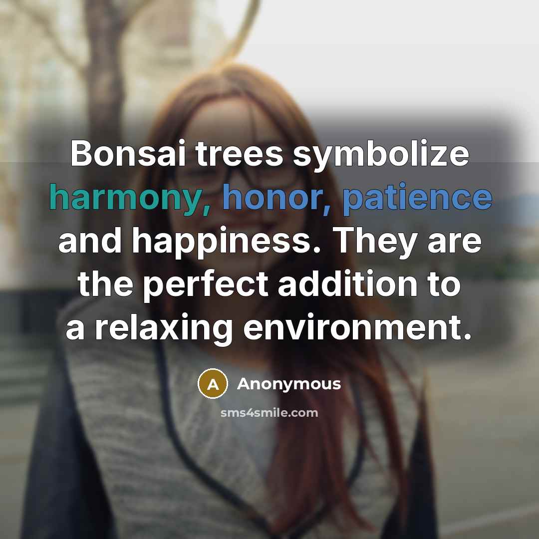 “Bonsai trees symbolize harmony, honor, patience and happiness. They are the perfect addition to a relaxing environment.” quote by Anonymous