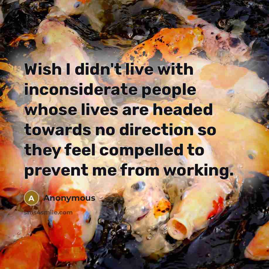 “Wish I didn't live with inconsiderate people whose lives are headed towards no direction so they feel compelled to prevent me from working.” quote by Anonymous