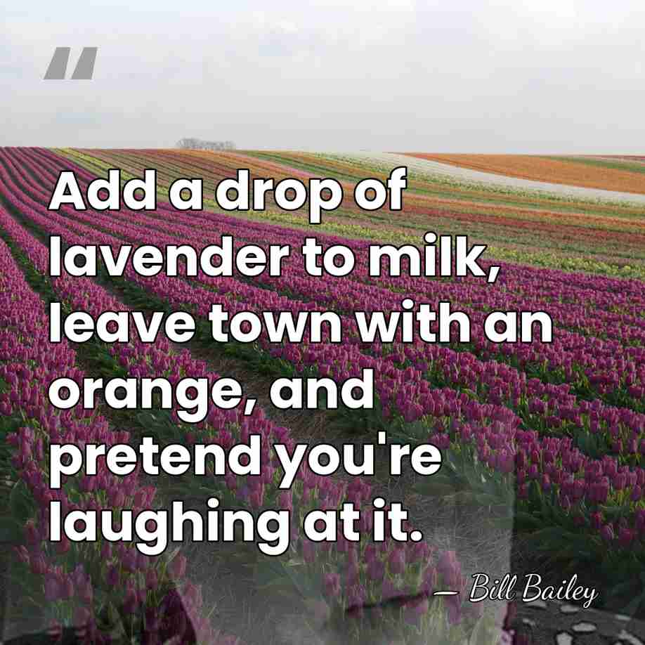 Add a drop of lavender to milk, leave town with an orange,&hellip; - Bill Bailey