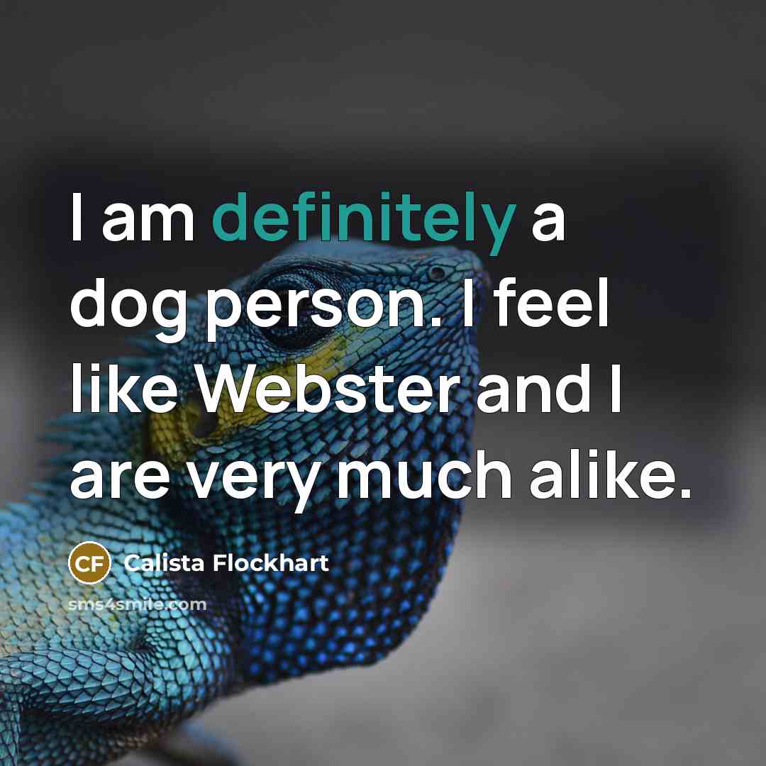 “I am definitely a dog person. I feel like Webster…” quote by Calista Flockhart