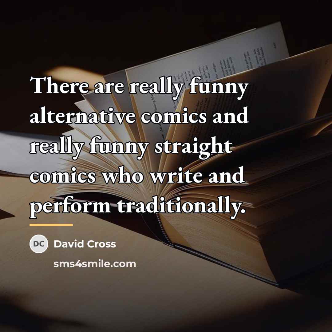 “There are really funny alternative comics and really funny straight…” quote by David Cross