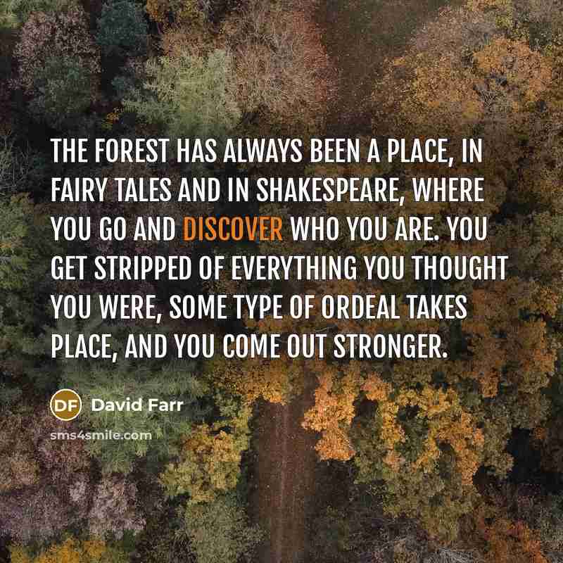 “The forest has always been a place, in fairy tales…” quote by David Farr