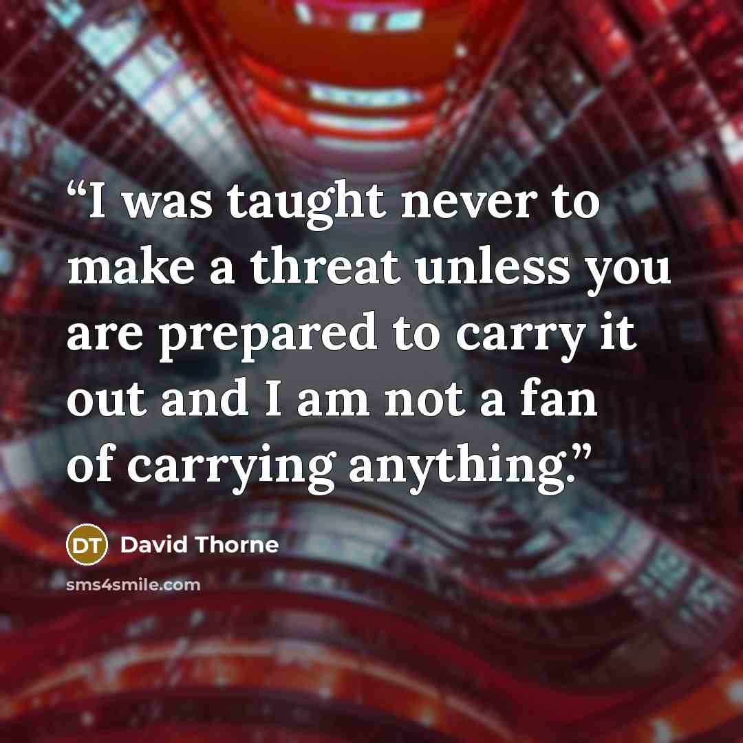 “I was taught never to make a threat unless you are prepared to carry it out and I am not a fan of carrying anything.” quote by David Thorne