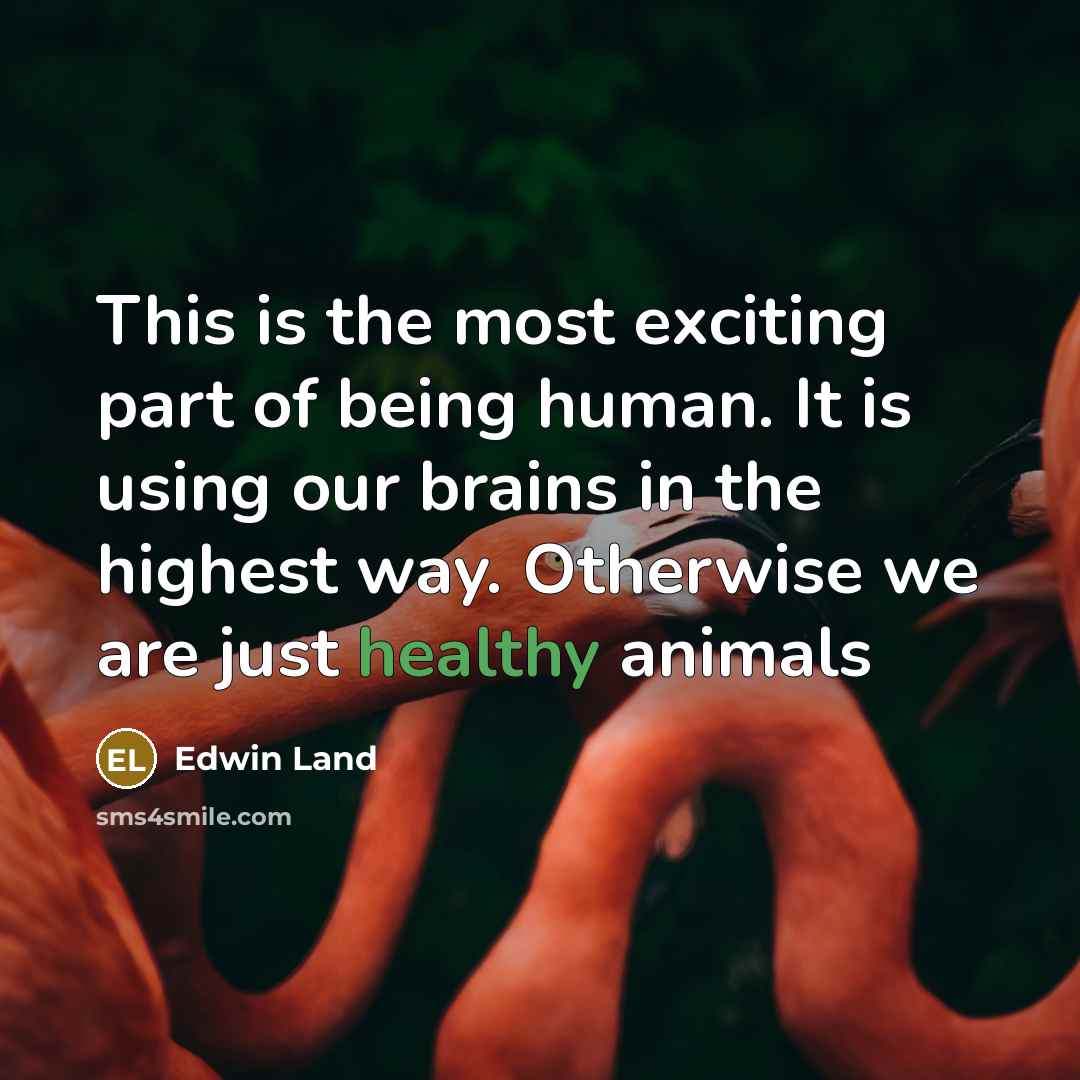“This is the most exciting part of being human. It…” quote by Edwin Land