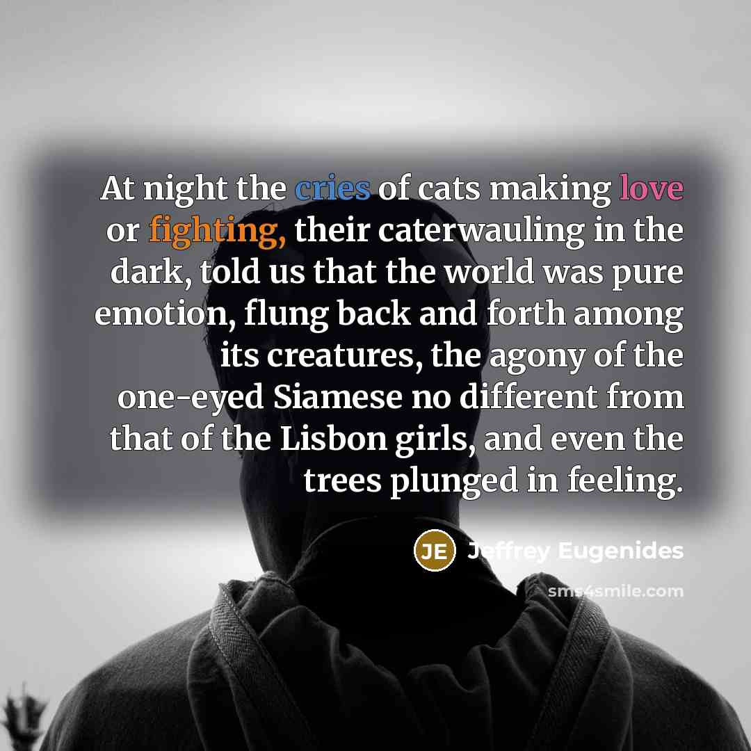 “At night the cries of cats making love or fighting,…” quote by Jeffrey Eugenides