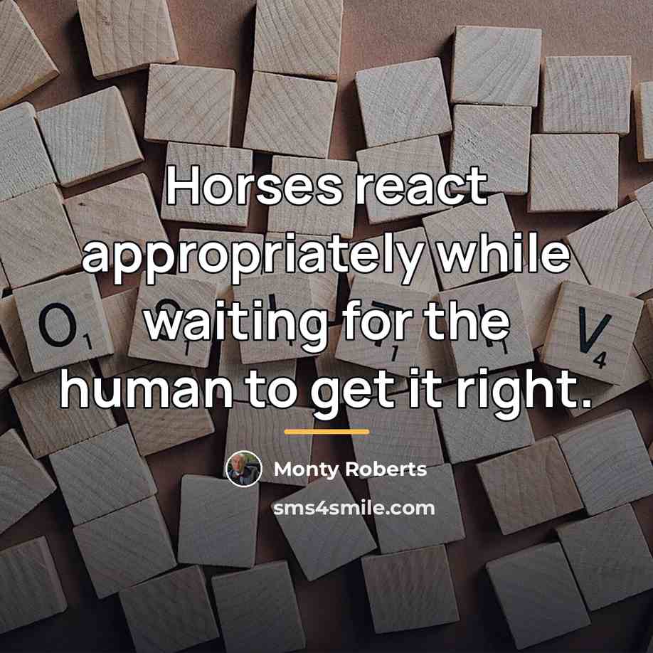 “Horses react appropriately while waiting for the human to get…” quote by Monty Roberts
