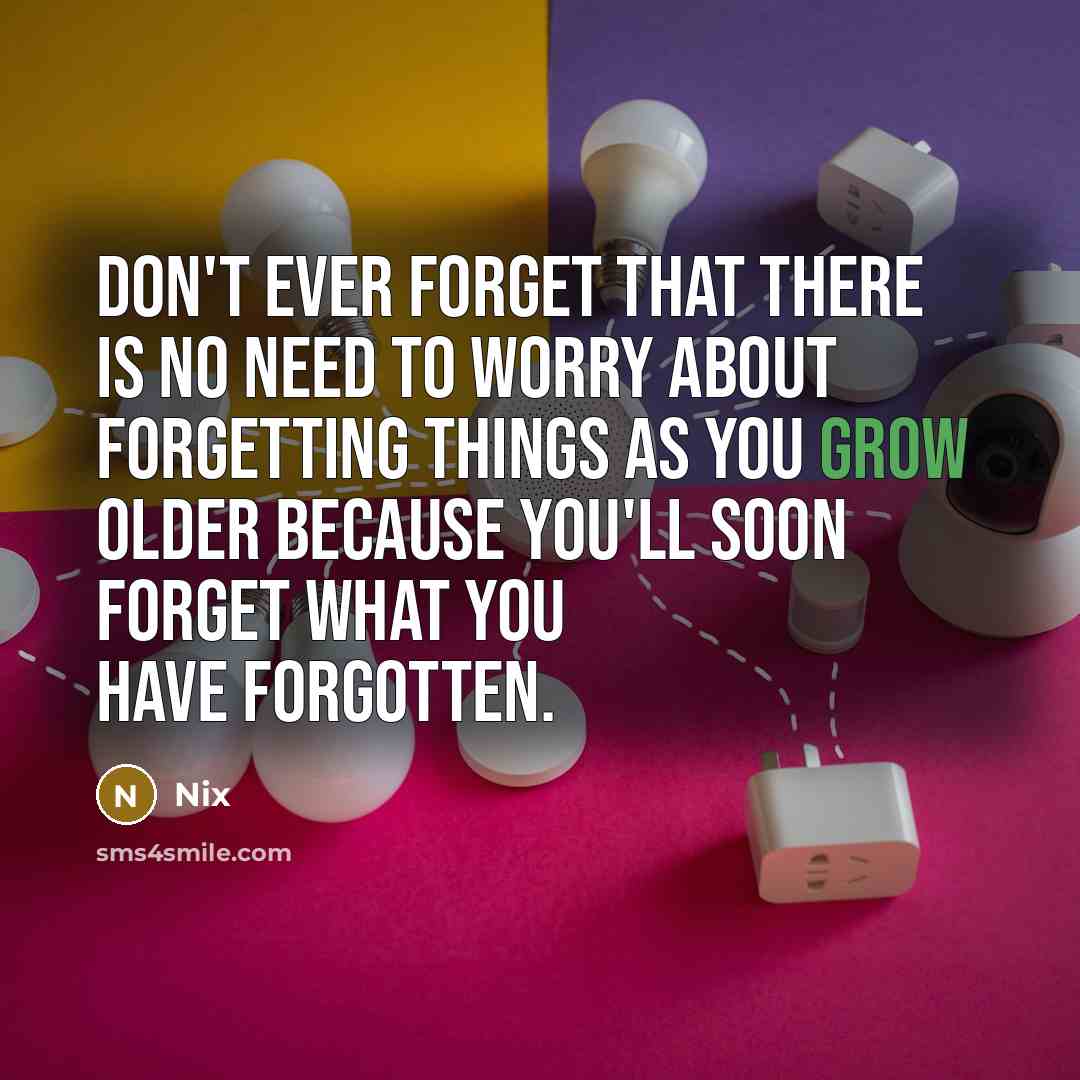“Don't ever forget that there is no need to worry about forgetting things as you grow older because you'll soon forget what you have forgotten.” quote by Nix