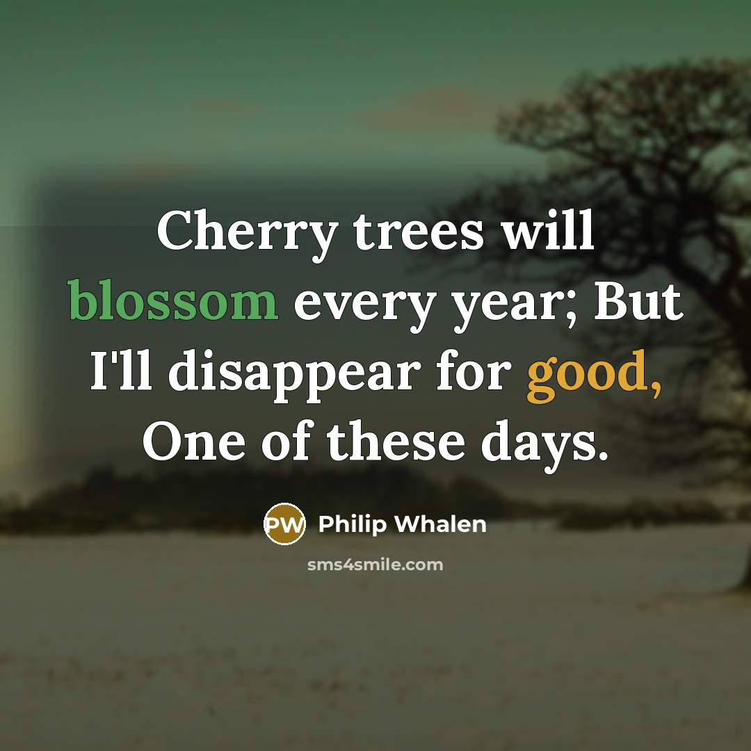 “Cherry trees will blossom every year; But I'll disappear for…” quote by Philip Whalen