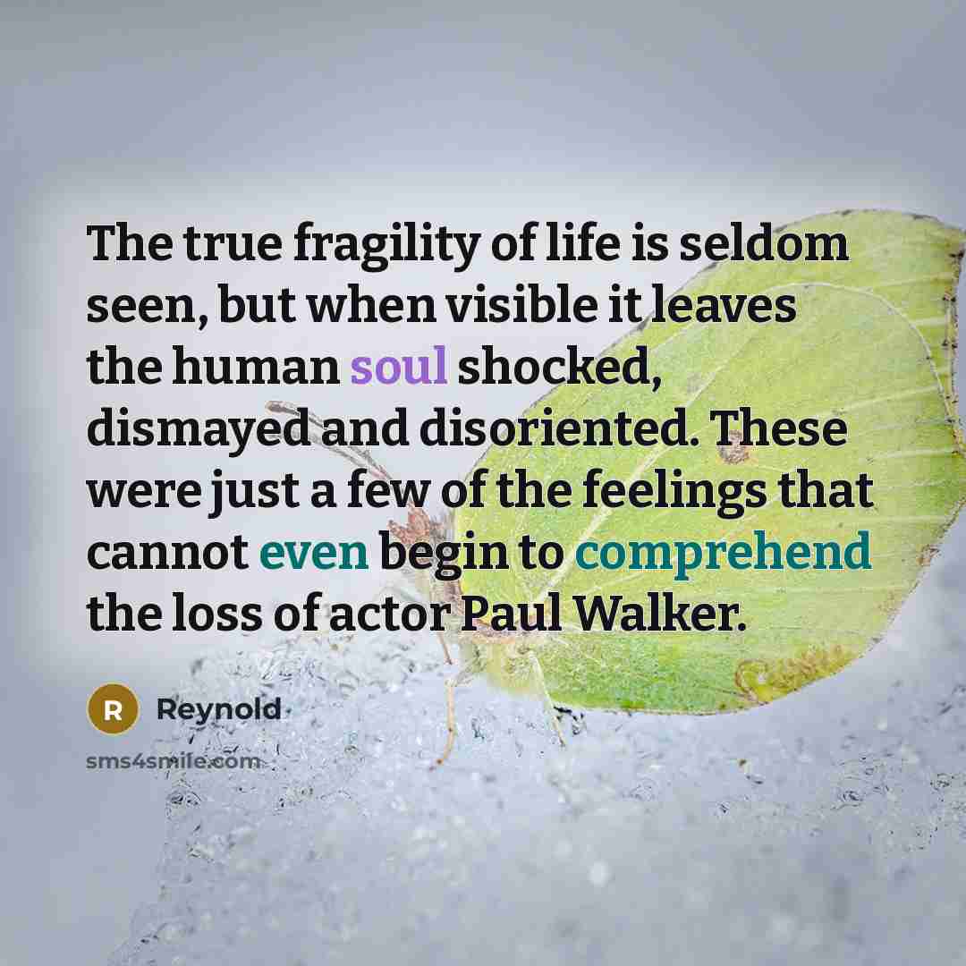 “The true fragility of life is seldom seen, but when visible it leaves the human soul shocked, dismayed and disoriented. These were just a few of the feelings that cannot even begin to comprehend the loss of actor Paul Walker.” quote by REYNOLD