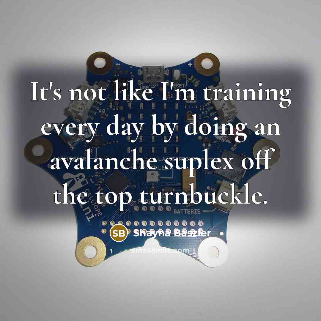 “It's not like I'm training every day by doing an…” quote by Shayna Baszler