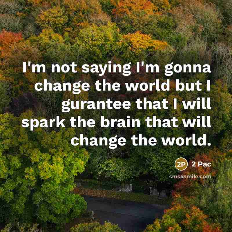 “I'm not saying I'm gonna change the world but I gurantee that I will spark the brain that will change the world.” quote by 2 Pac