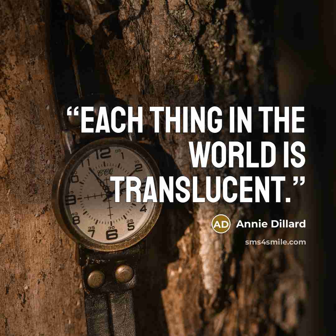 “Each thing in the world is translucent.” quote by Annie Dillard