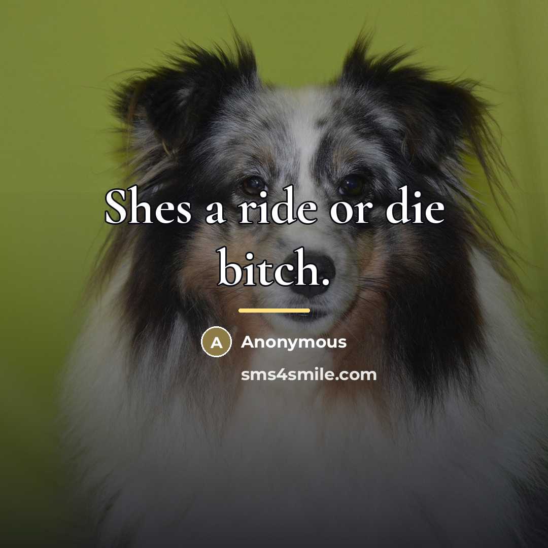 “Shes a ride or die bitch.…” quote by Anonymous