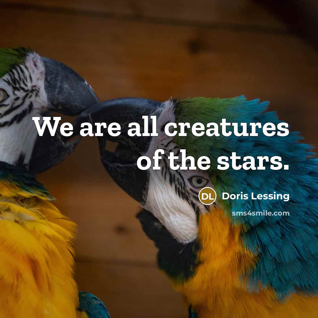 “We are all creatures of the stars.…” quote by Doris Lessing