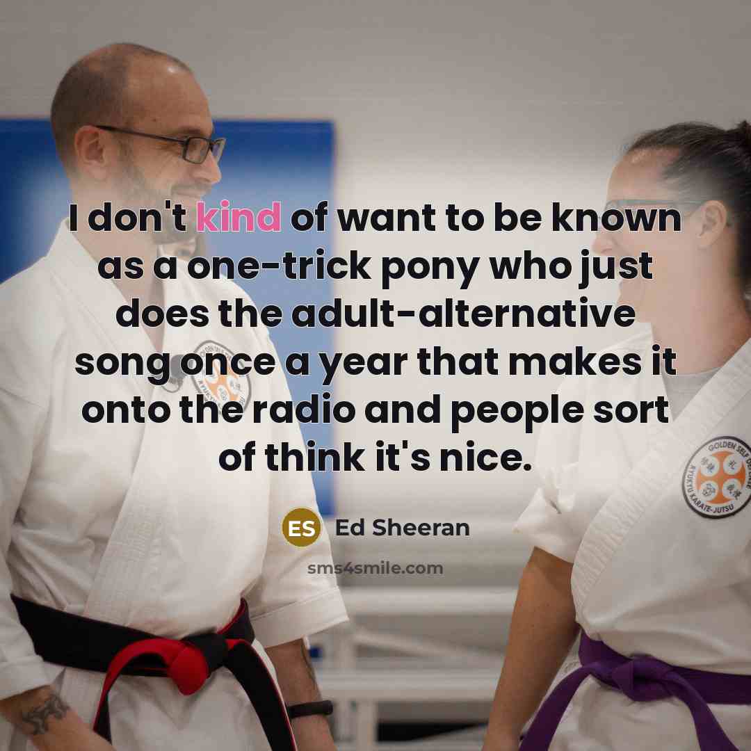 “I don't kind of want to be known as a…” quote by Ed Sheeran