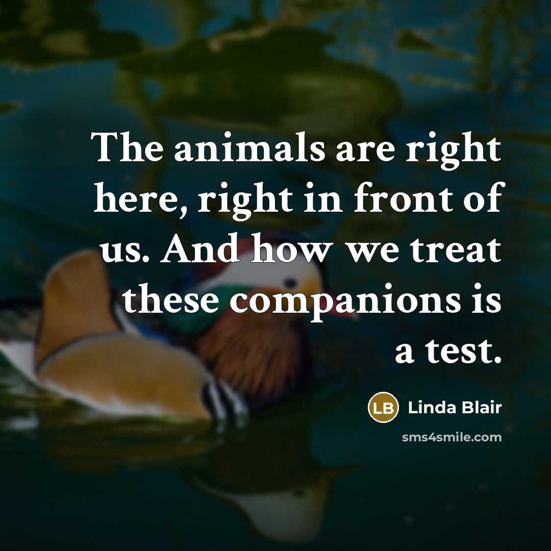 “The animals are right here, right in front of us.…” quote by Linda Blair