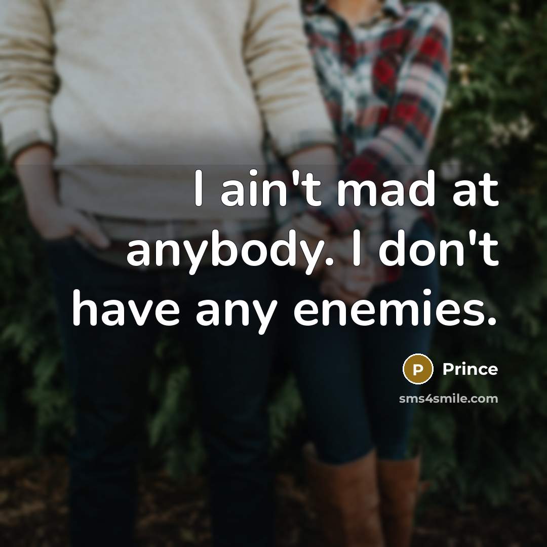 “I ain't mad at anybody. I don't have any enemies.…” quote by Prince