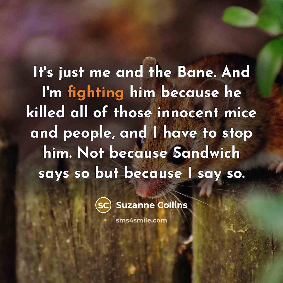 “It's just me and the Bane. And I'm fighting him…” quote by Suzanne Collins