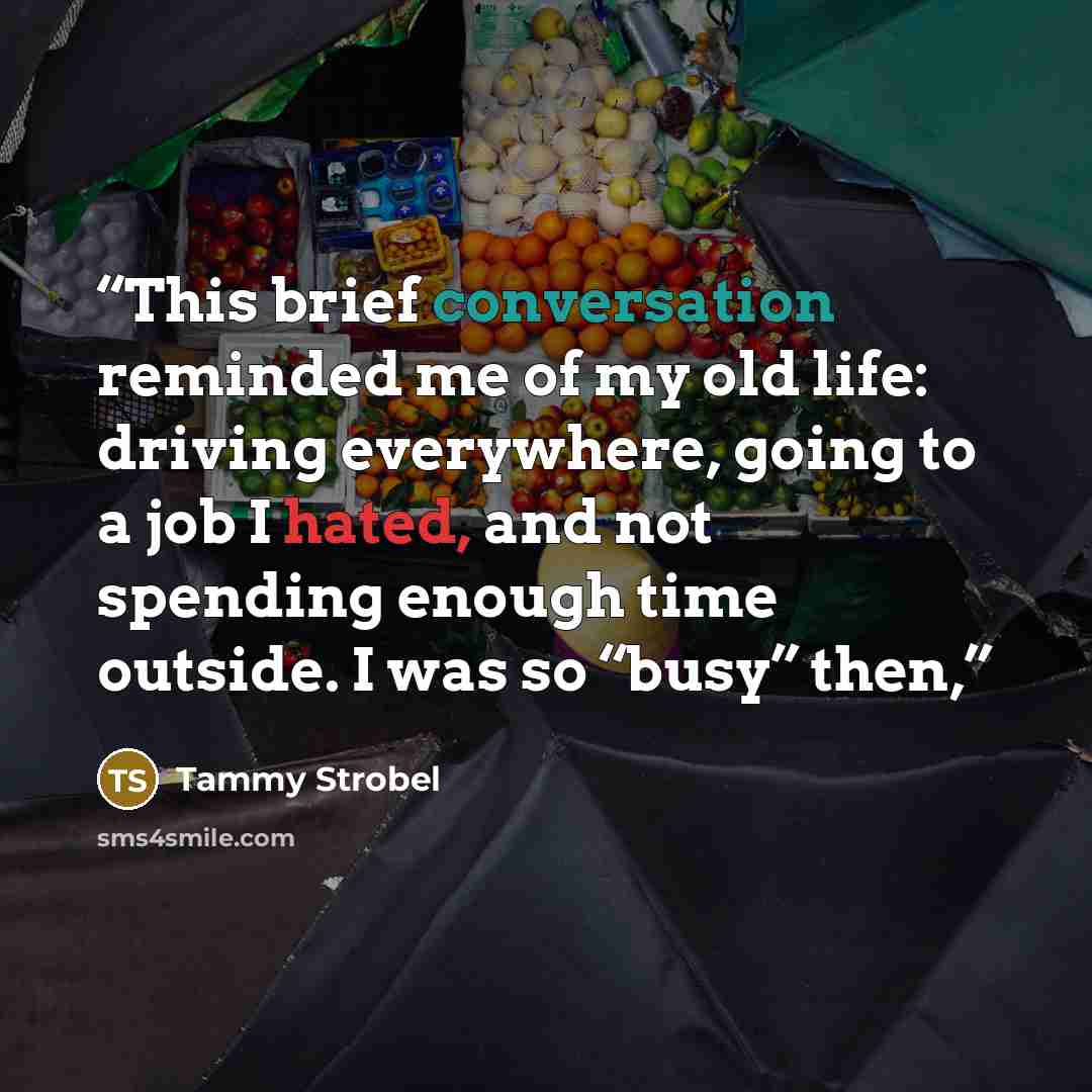 “This brief conversation reminded me of my old life: driving everywhere, going to a job I hated, and not spending enough time outside. I was so “busy” then,” quote by Tammy Strobel