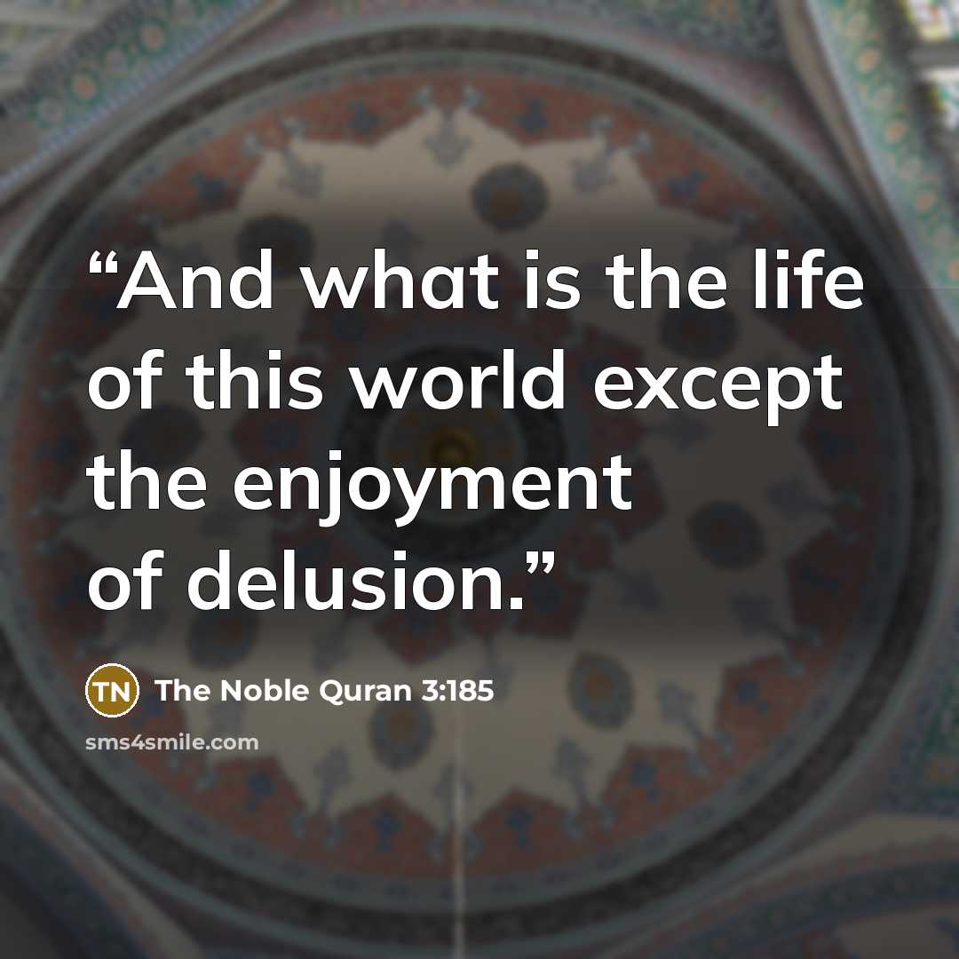 “And what is the life of this world except the enjoyment of delusion.” quote by The Noble Quran 3:185