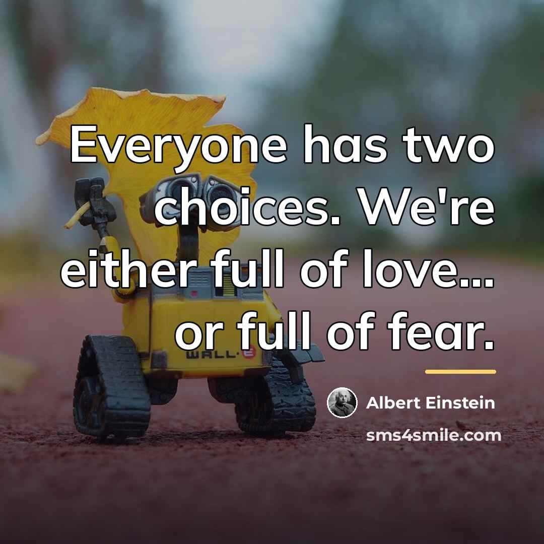 “Everyone has two choices. We're either full of love... or…” quote by Albert Einstein