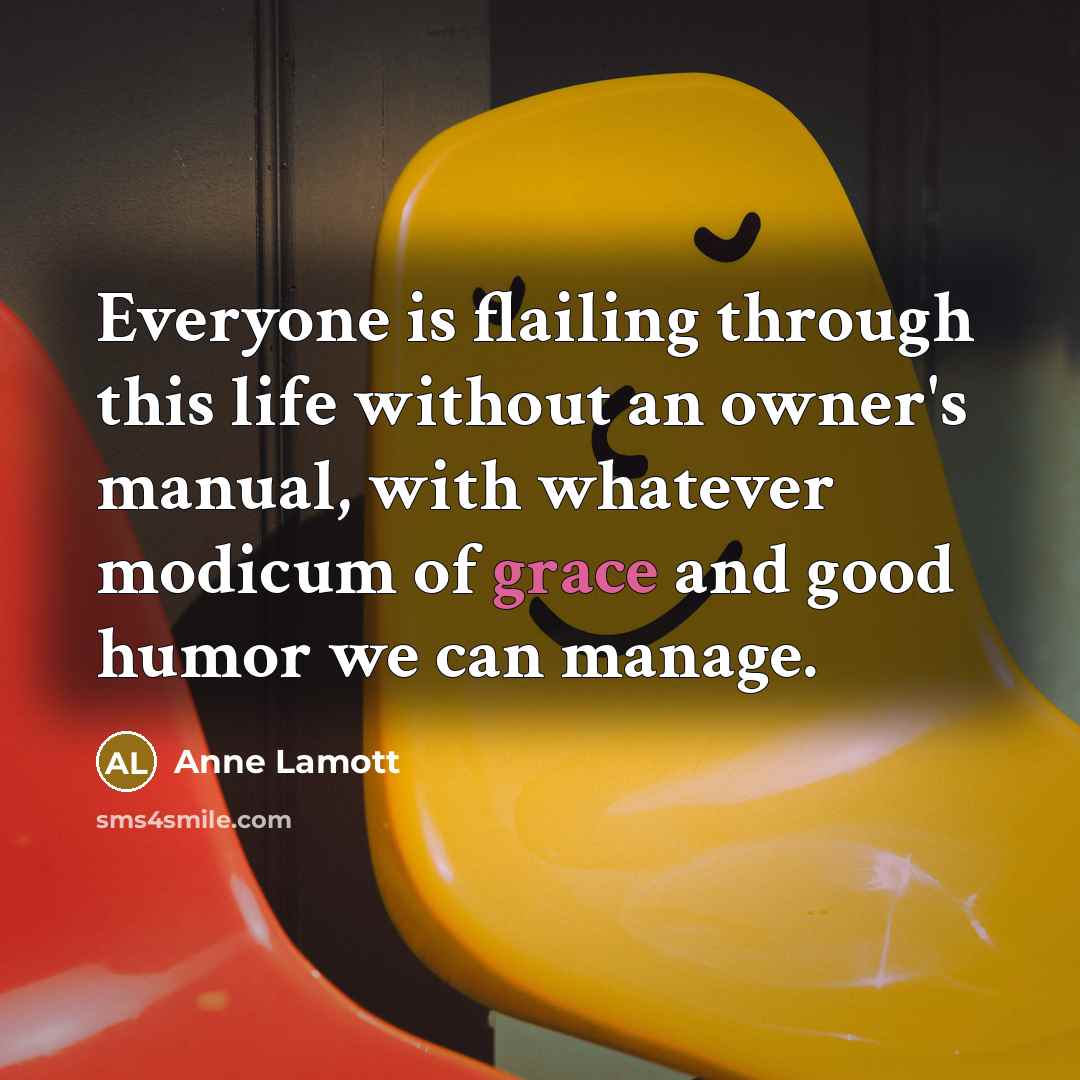 “Everyone is flailing through this life without an owner's manual,…” quote by Anne Lamott