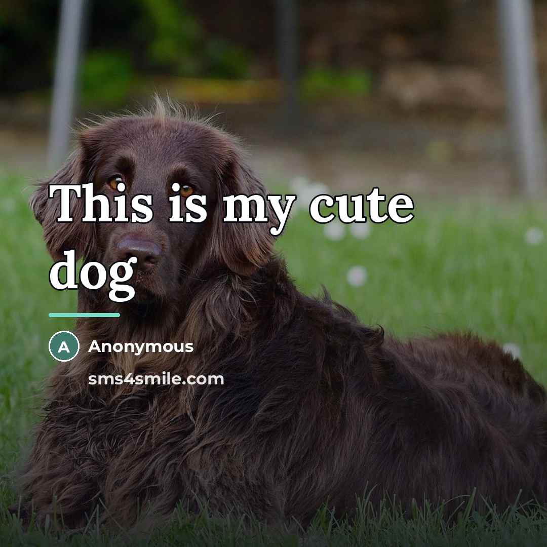 “This is my cute dog…” quote by Anonymous