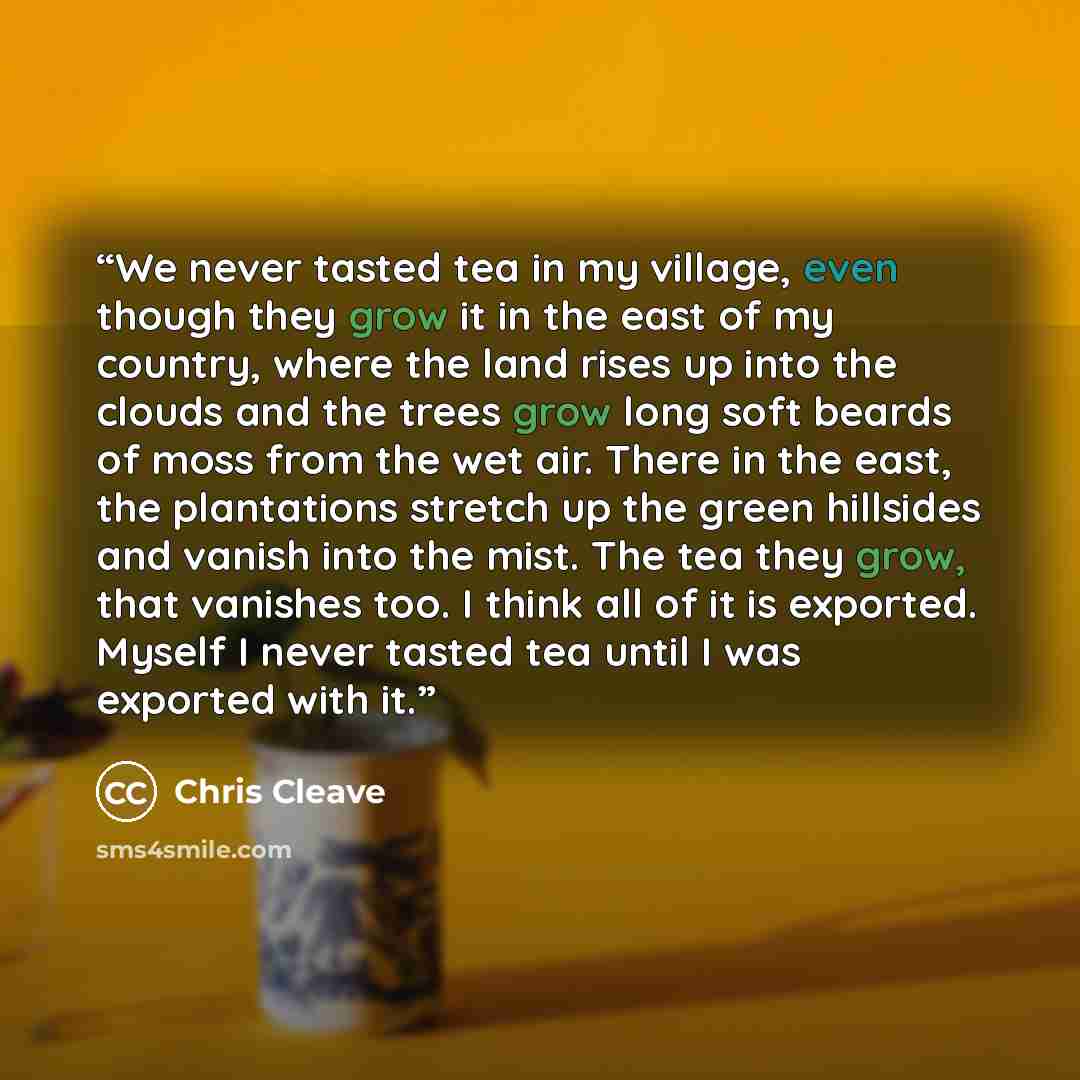 “We never tasted tea in my village, even though they grow it in the east of my country, where the land rises up into the clouds and the trees grow long soft beards of moss from the wet air. There in the east, the plantations stretch up the green hillsides and vanish into the mist. The tea they…” quote by Chris Cleave