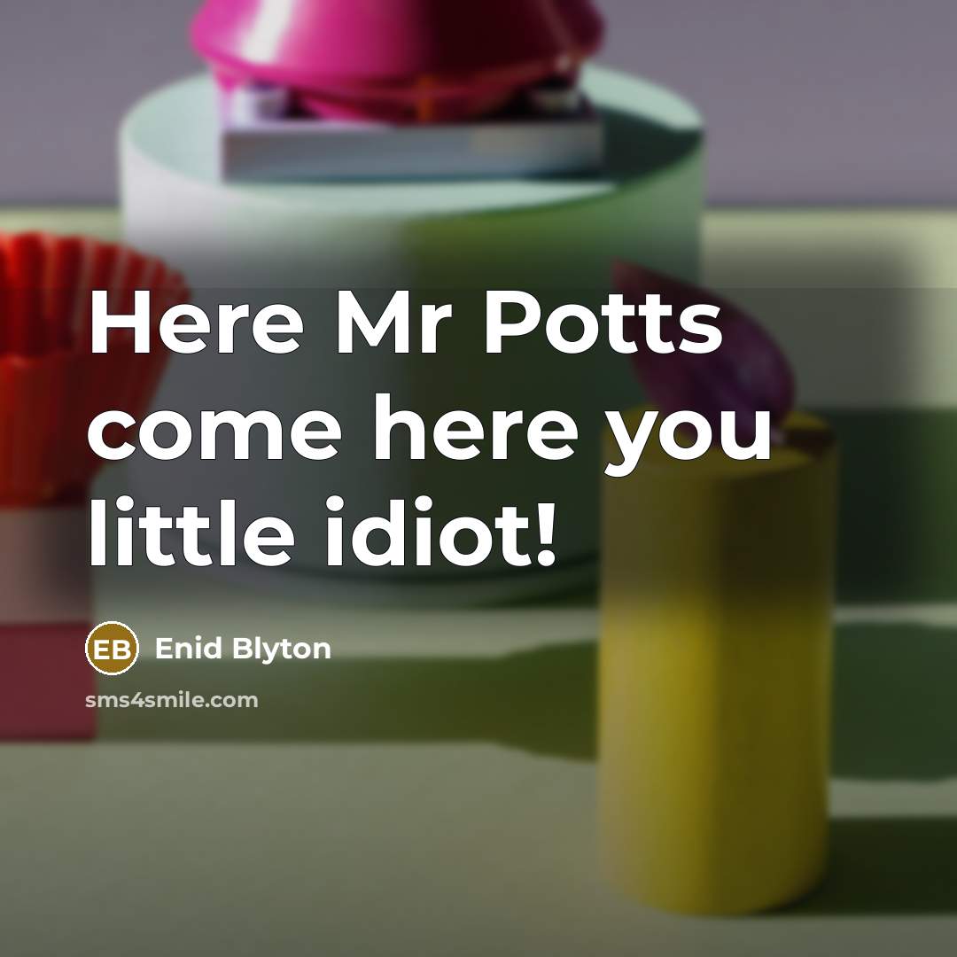 “Here Mr Potts come here you little idiot!…” quote by Enid Blyton
