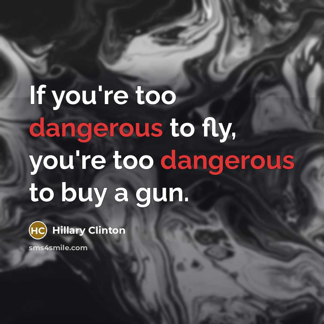 “If you're too dangerous to fly, you're too dangerous to buy a gun.” quote by Hillary Clinton