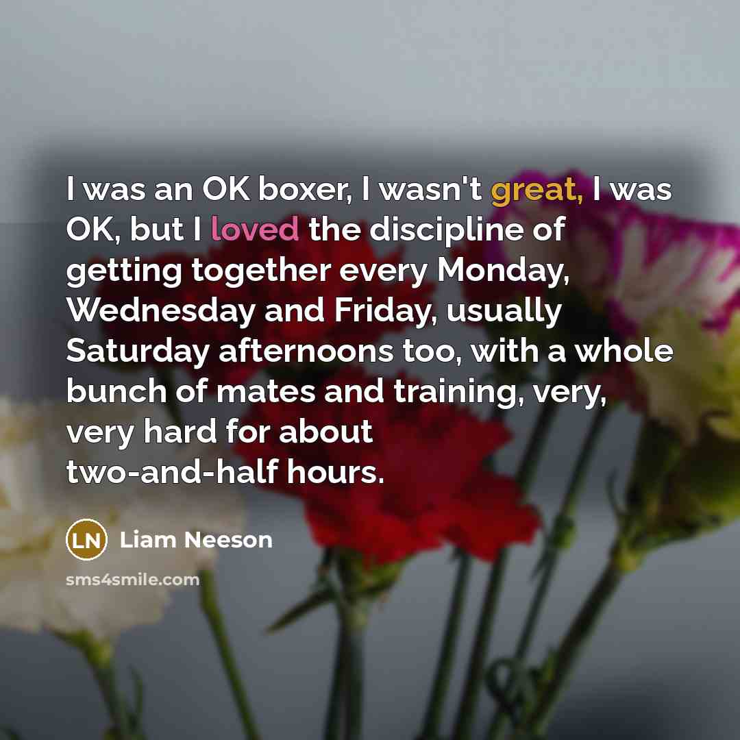 “I was an OK boxer, I wasn't great, I was…” quote by Liam Neeson