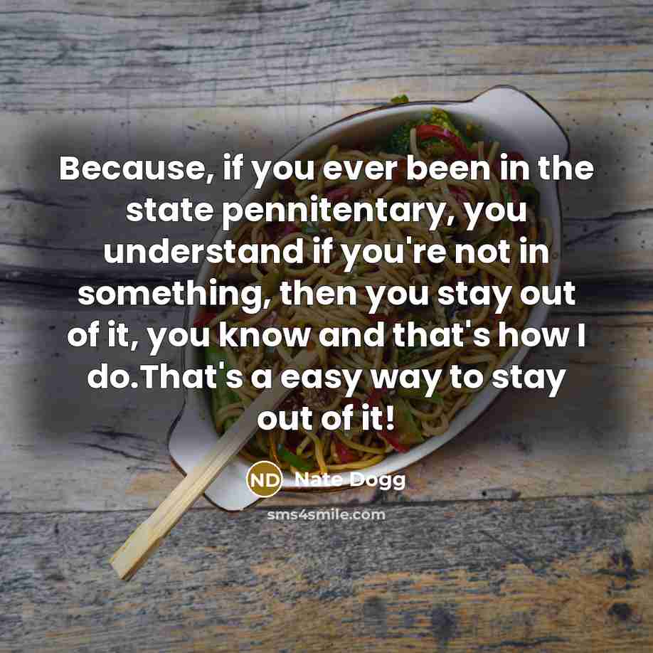 “Because, if you ever been in the state pennitentary, you…” quote by Nate Dogg