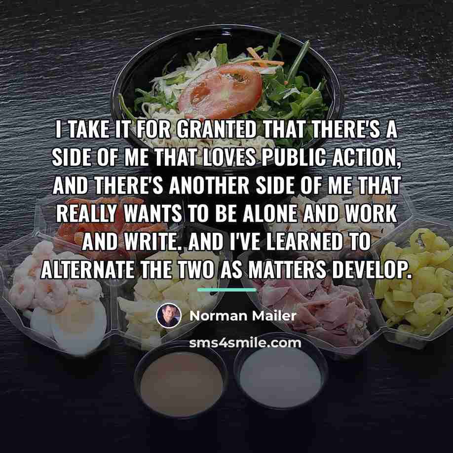 “I take it for granted that there's a side of…” quote by Norman Mailer
