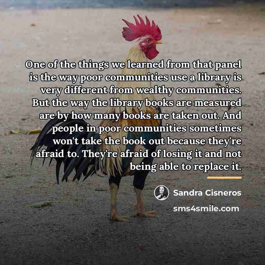 “One of the things we learned from that panel is…” quote by Sandra Cisneros