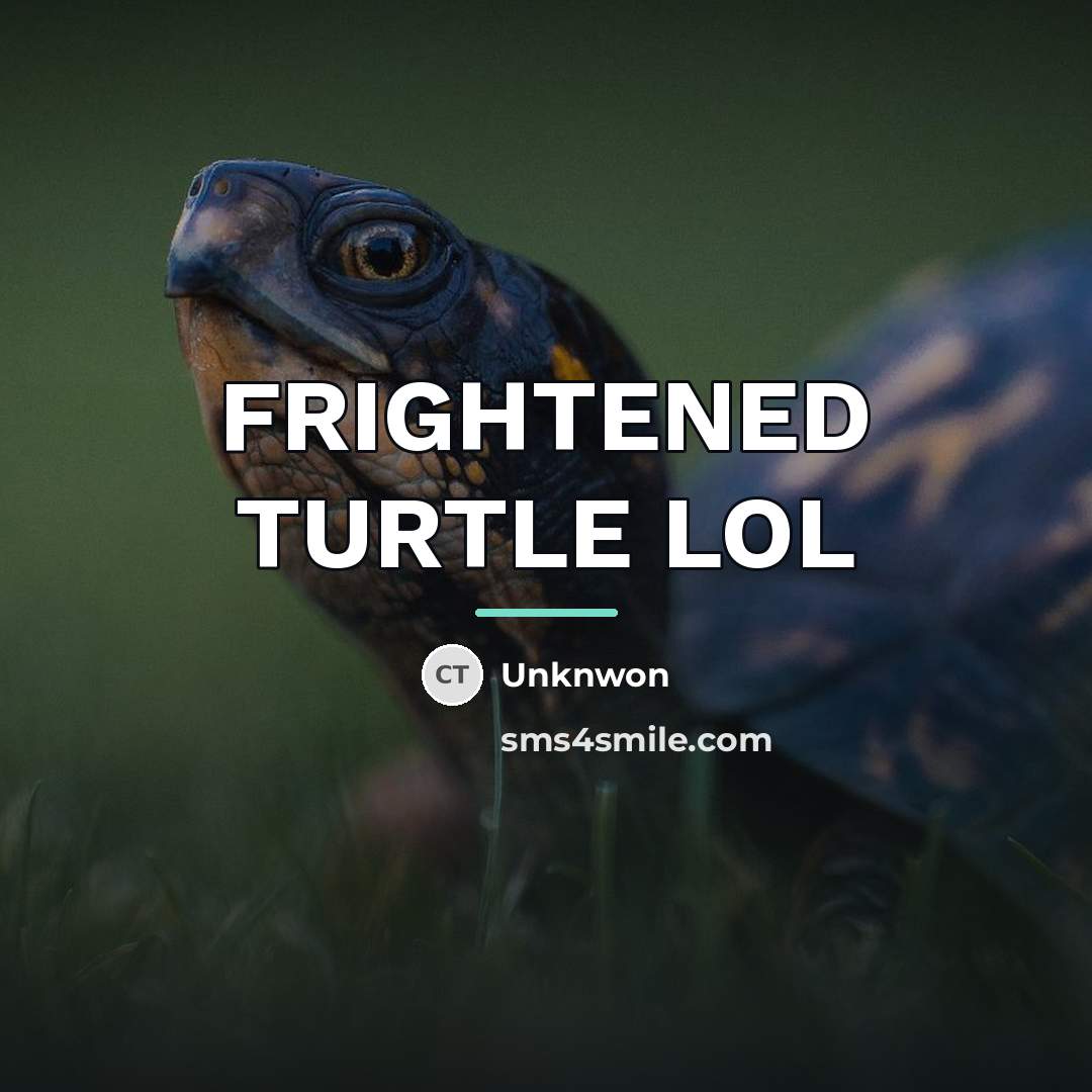 “FRIGHTENED TURTLE LOL…” quote by Unknwon