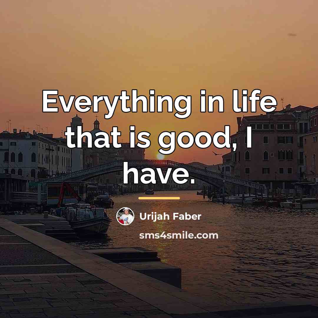 “Everything in life that is good, I have.…” quote by Urijah Faber