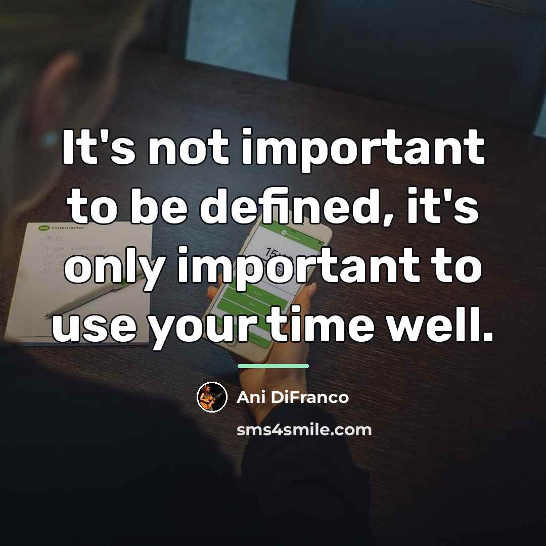 “It's not important to be defined, it's only important to…” quote by Ani DiFranco