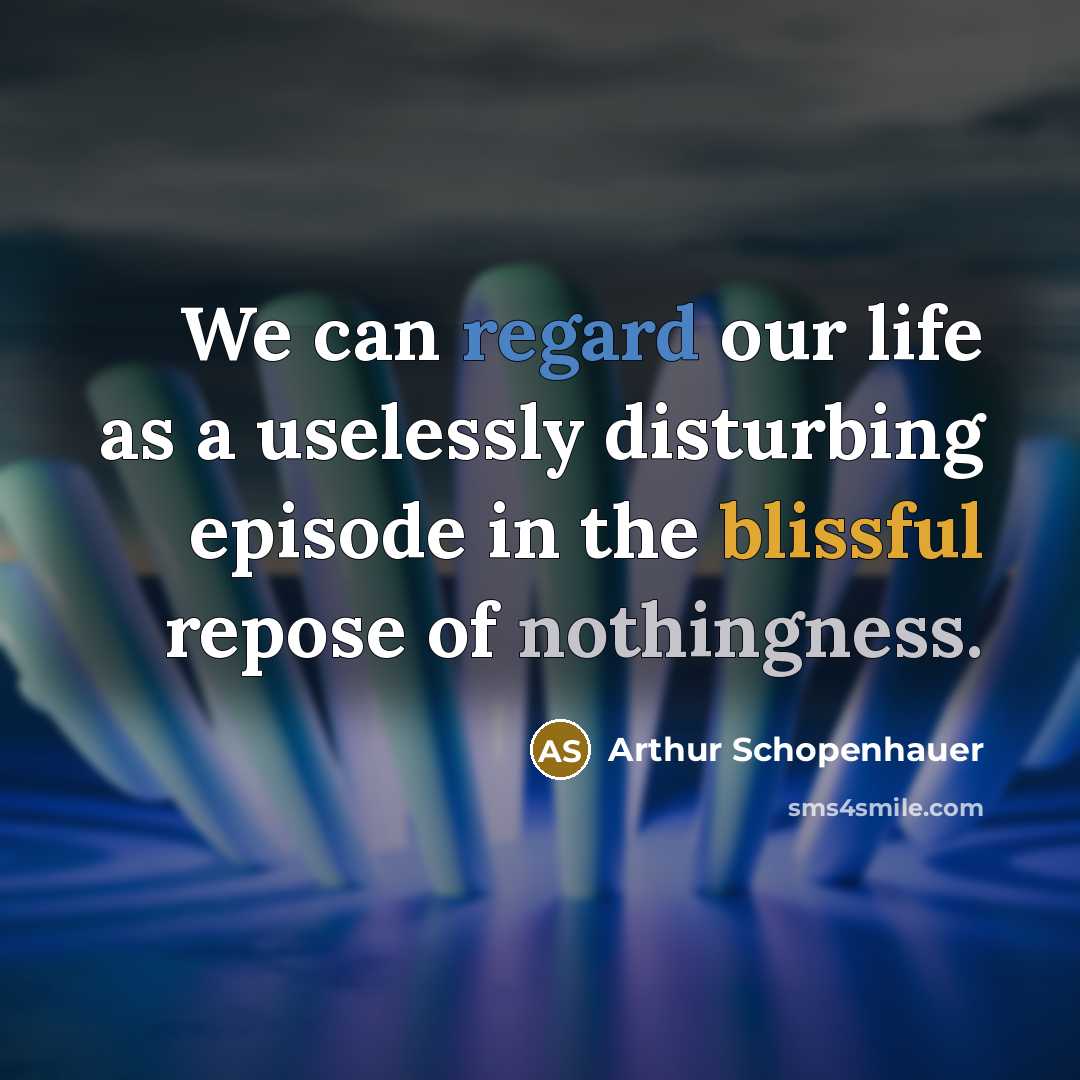 “We can regard our life as a uselessly disturbing episode…” quote by Arthur Schopenhauer