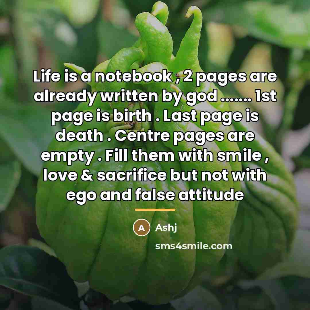 “Life is a notebook , 2 pages are already written…” quote by Ashj