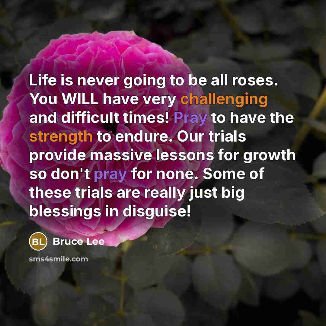 “Life is never going to be all roses. You WILL…” quote by Bruce Lee