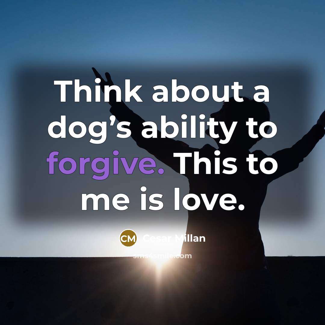 “Think about a dog’s ability to forgive. This to me…” quote by Cesar Millan