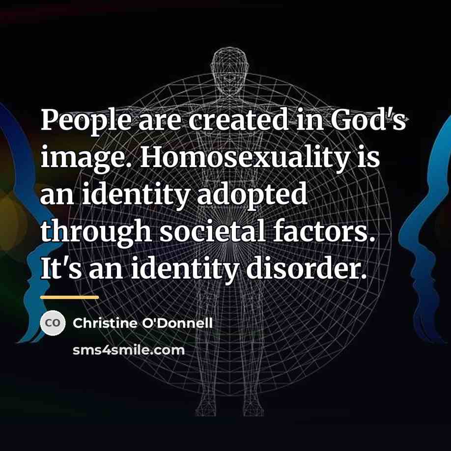 “People are created in God's image. Homosexuality is an identity…” quote by Christine O'Donnell