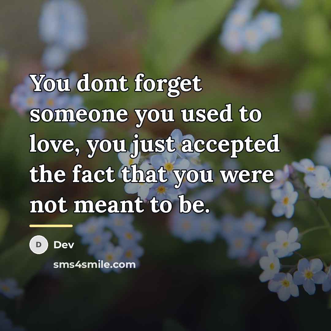 “You dont forget someone you used to love, you just…” quote by Dev