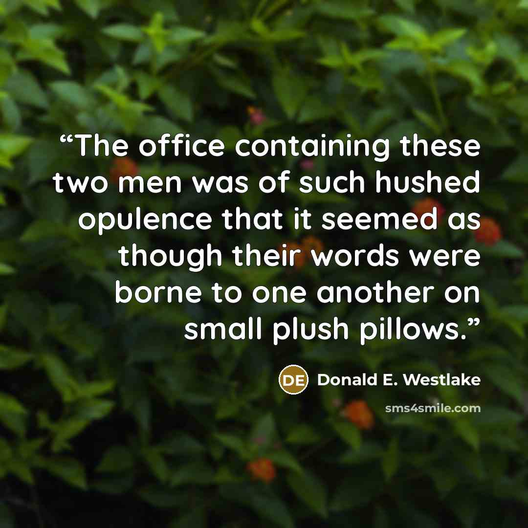 “The office containing these two men was of such hushed opulence that it seemed as though their words were borne to one another on small plush pillows.” quote by Donald E. Westlake
