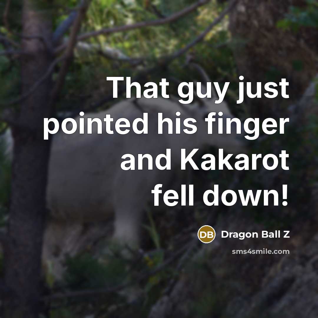 “That guy just pointed his finger and Kakarot fell down!…” quote by Dragon Ball Z