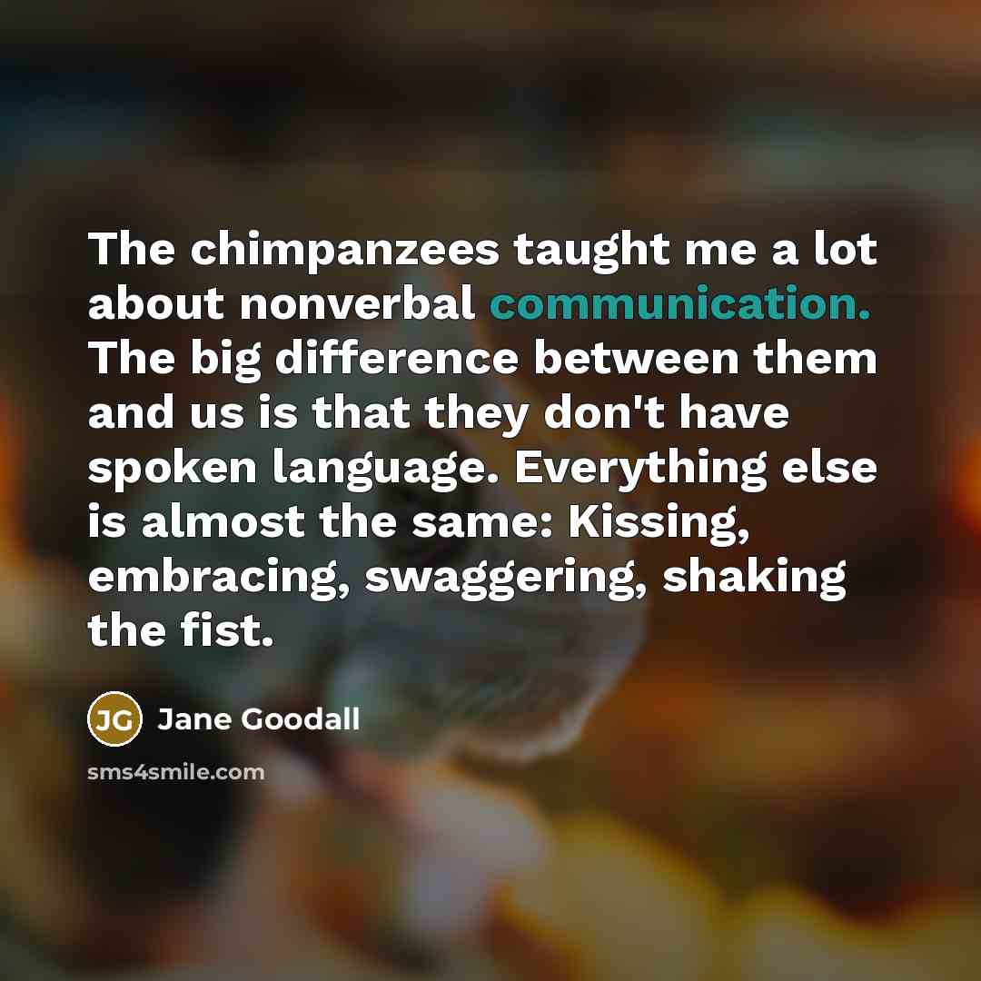 “The chimpanzees taught me a lot about nonverbal communication. The big difference between them and us is that they don't have spoken language. Everything else is almost the same: Kissing, embracing, swaggering, shaking the fist.” quote by Jane Goodall
